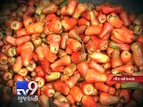 Farmers turning to cashew cultivation - Tv9 Gujarati
