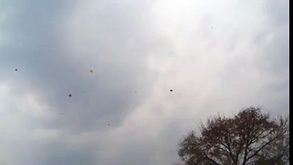 F9 park islamabad basant