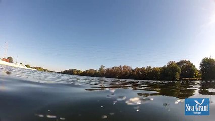 Grand River Substrate III