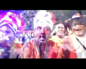 2015 WC IND vs ZIM: Crowd Cheers for Team India