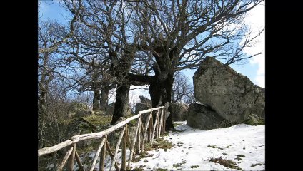 Immersi nella natura,video rilassante con musica dub.