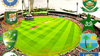 2015 WC IND vs ZIM Crowd Cheers for Team India