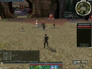 Guild wars clip