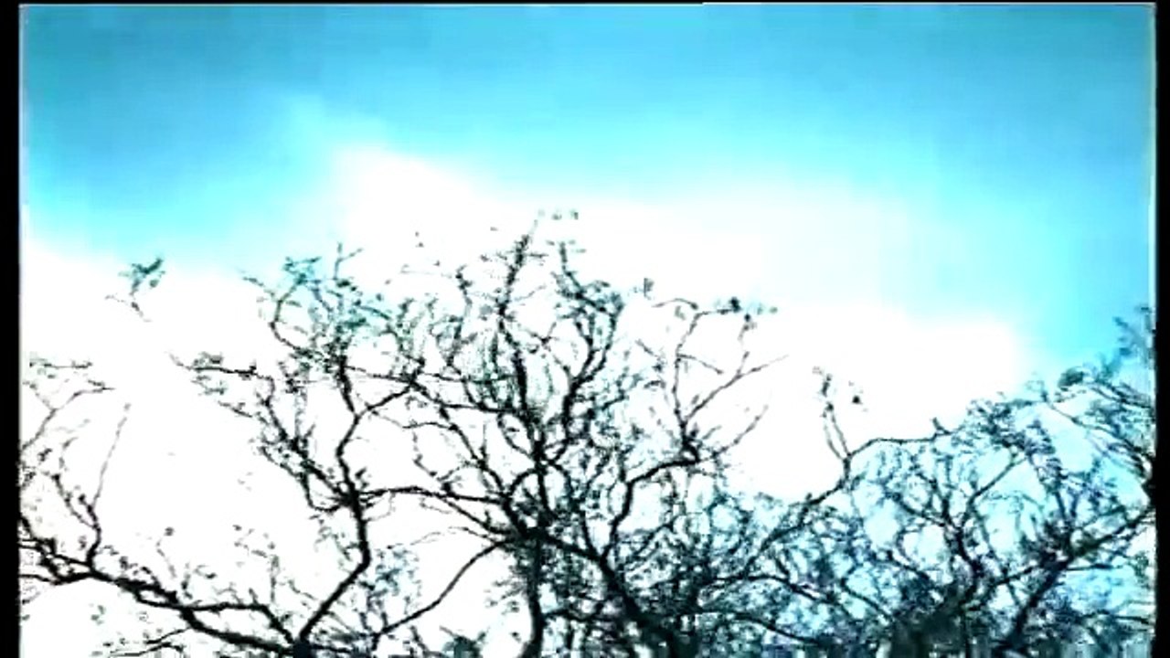 Cafe Tacuba - La Locomotora