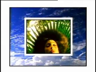 Cafe Tacuba - Rarotonga