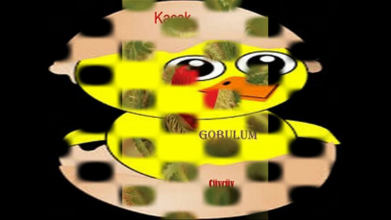 bugday tanesi