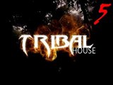 Tribal Zone Vol.5
