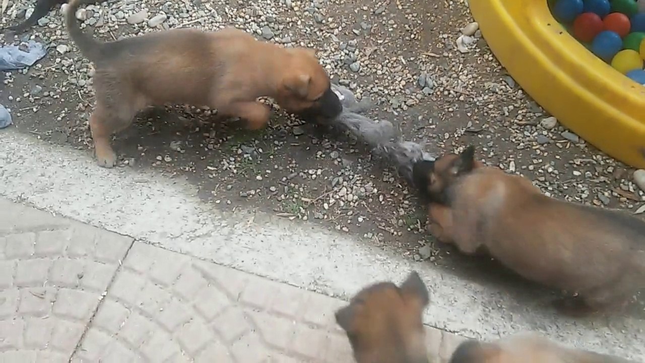 Be Aware H's @ Gfrasta!