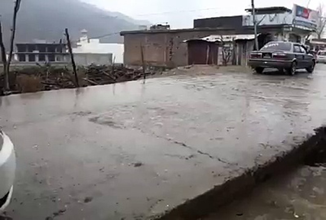 seeee