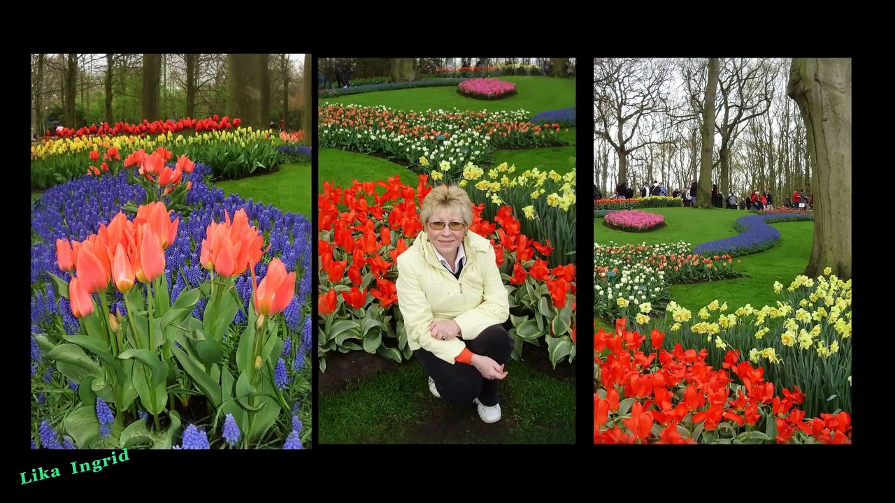 Keukenhof