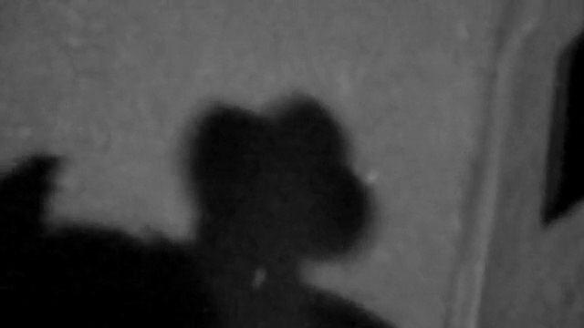 Remerciements de Jean-Luc Godard à son Prix d'honneur du cinéma suisse