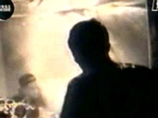 Offspring come out and play