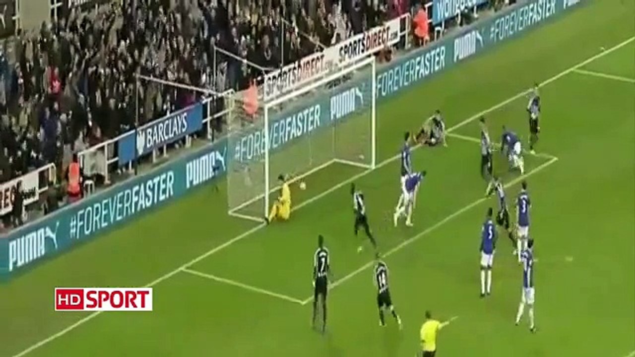 Everton  vs Newcastle    All Goal & Full Highlights ~ EPL 15.03.2015[LOL EXA]