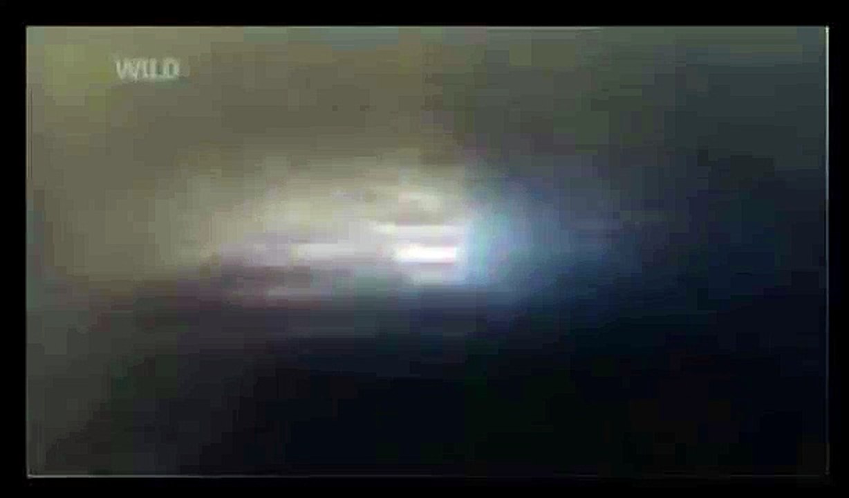 New animal documentary 2015 |  10 Most Bizarre Deep Sea Creatures  | Discovery