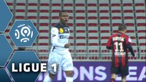 But Christophe MANDANNE (49ème) / OGC Nice - EA Guingamp (1-2) - (OGCN - EAG) / 2014-15