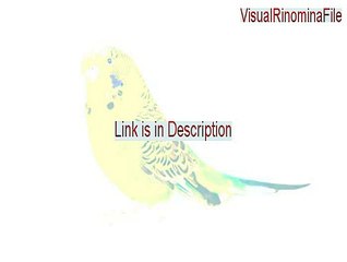 VisualRinominaFile Key Gen (Instant Download)