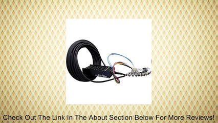 Live Wire Advantage 16-Channel/4-Return Stage Snake 100 Foot Review