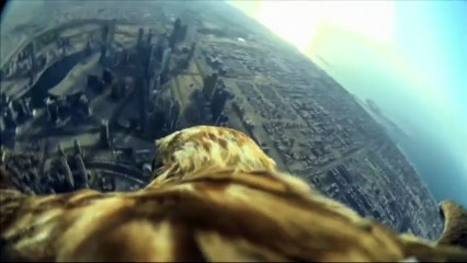 La ville de Dubaï vue depuis un aigle en vol