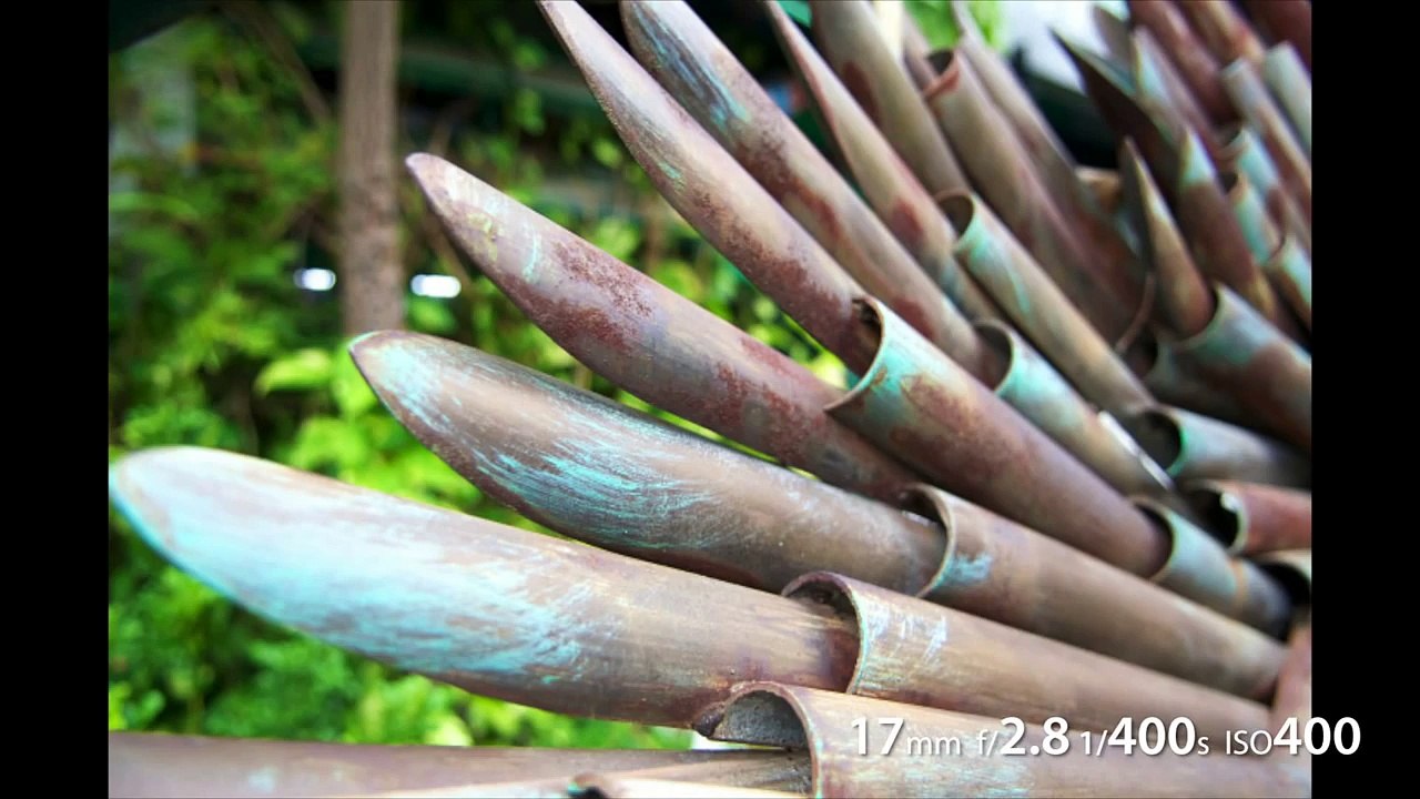 Nikkor 17-55mm f/2.8 DX Hands-on Review