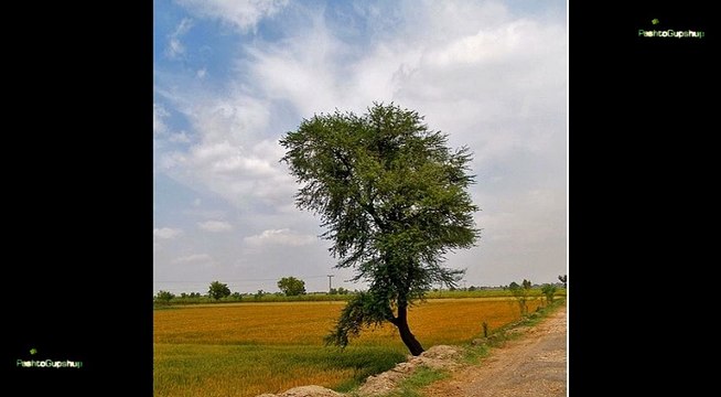 Za Ba Tar Hghey Kali Ta - Singer Kamal Aziz - Pashto new Songs 2015 - Pashto Musafar Songs 2015