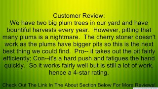 Plum Pitter by Westmark Review