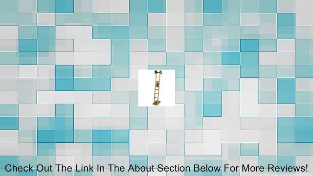 Curious George Climbing Ladder Review