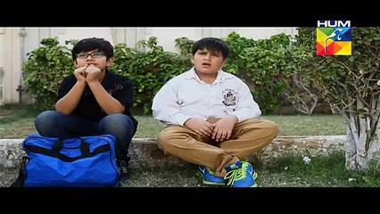 Mr Shamim Episode 11 on Hum Tv  full - 15 March 2015