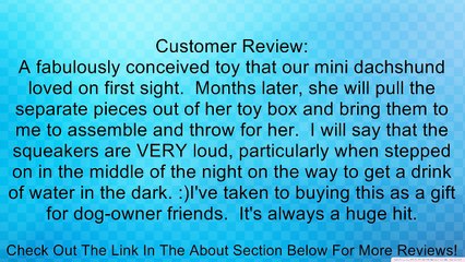 Kyjen Hide-A-Squirrel Puzzle Toy for Dogs Review