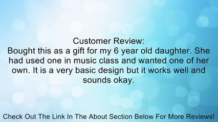 Hohner S2362 6-inch Triangle with Striker Review