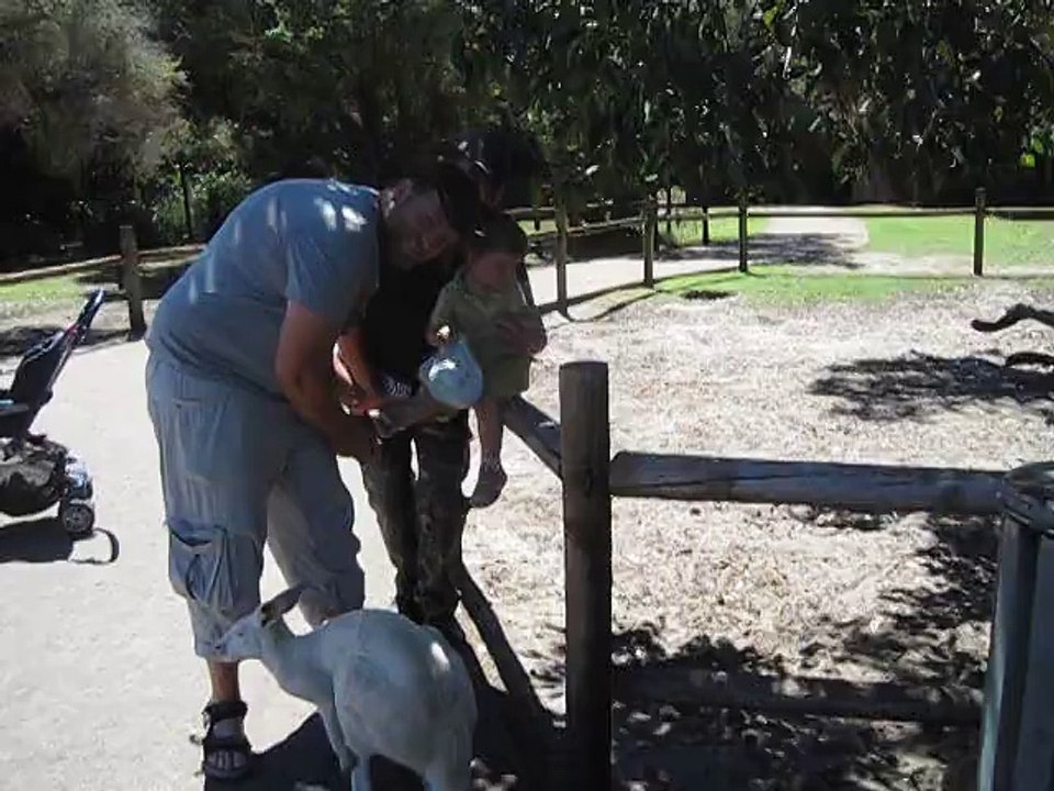 AUSTRALIE pour ROBIN 20 MOIS et BASILE -moins 4 mois LOL