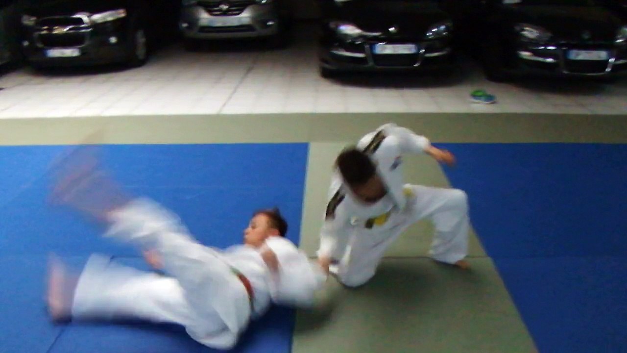 NAGE NO KATA