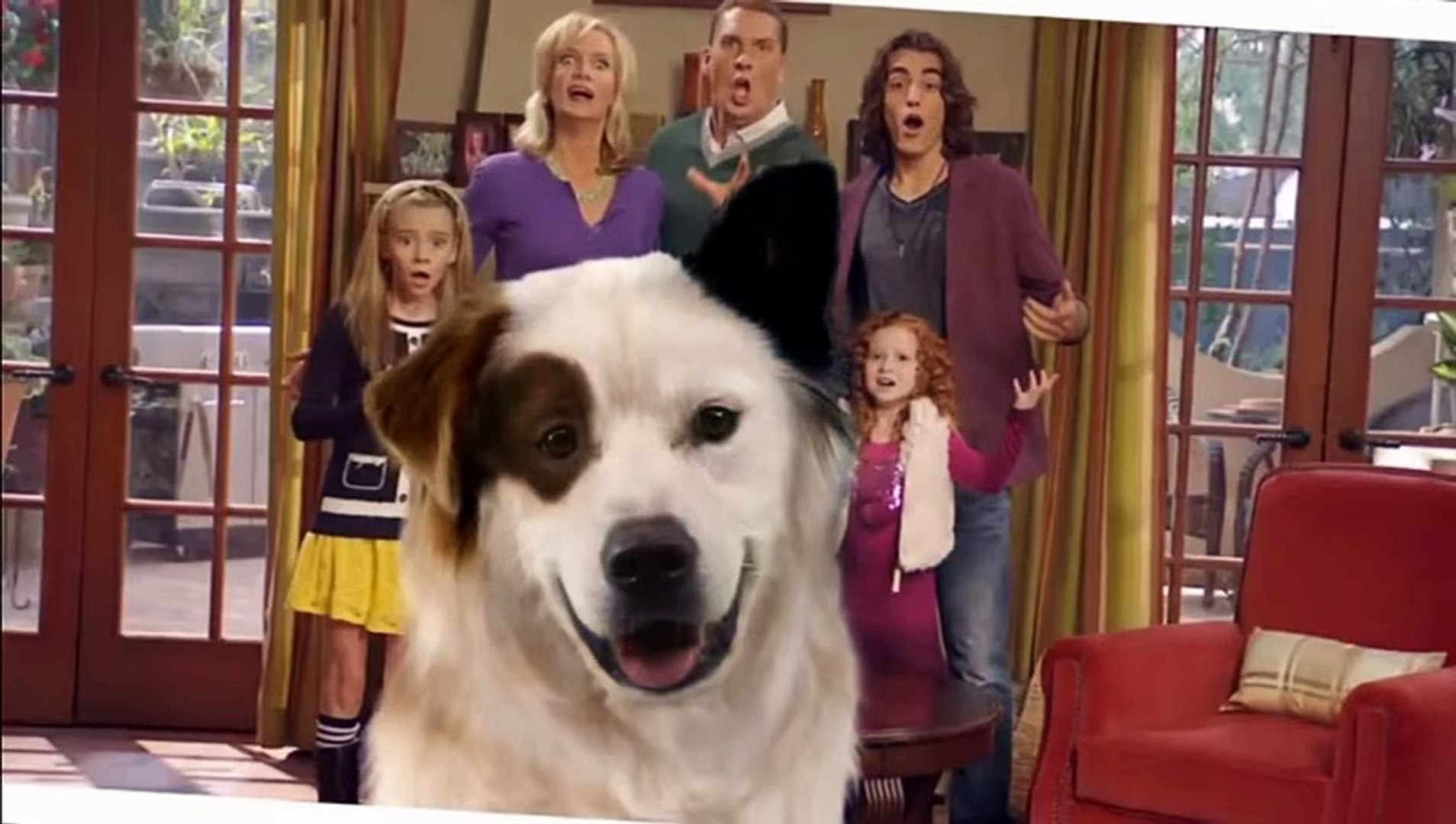 Мармадюк 2. Про собаку которая разговаривать. Вызов ветврача на дом. Про собаку которая разговаривать. Привет щенок.