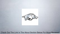 NCAA Arkansas Razorbacks Chrome Automobile Emblem Review