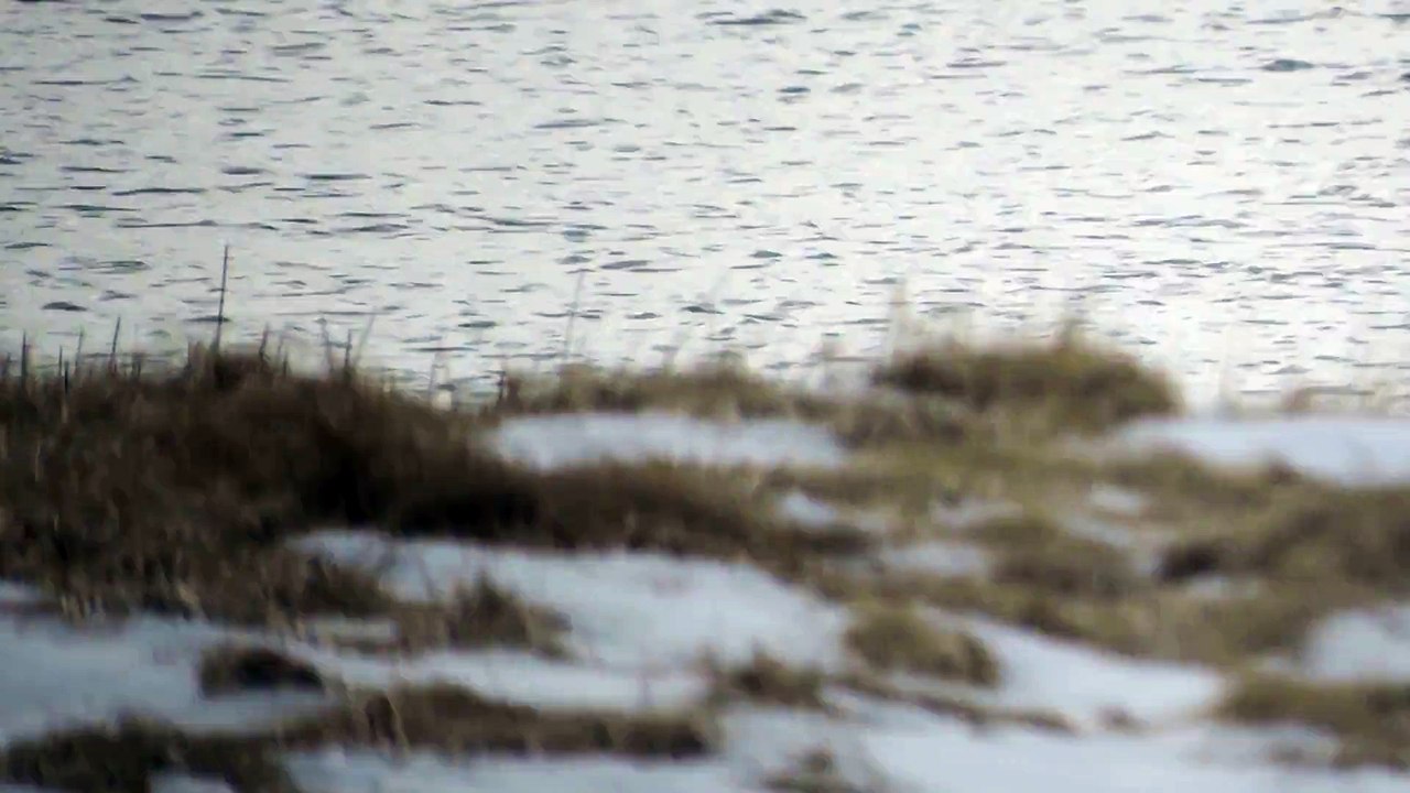 DSCN2456