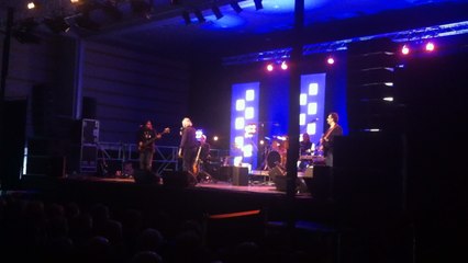 Concert de Didier Barbelivien