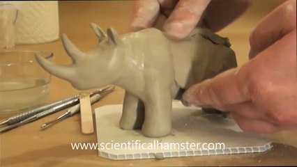 Making a Simple Animal out of Clay