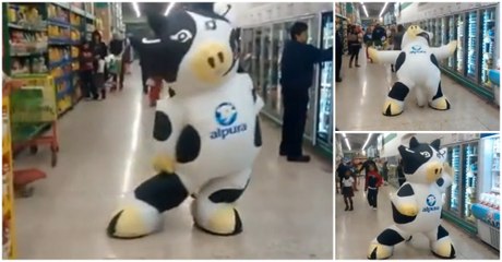 Alpura Milk Cow Maskot Dancing Show Das Poderosas In Supermarket