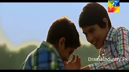 Dayar e Dil Promo 1 New Drama on Hum Tv