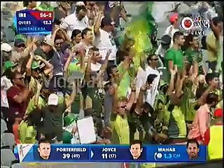 عمر اکمل کے پکڑے گئے 4  کیچز