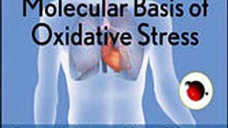 Download Molecular Basis of Oxidative Stress ebook {PDF} {EPUB}