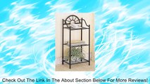 Coaster Garden Plant / Phone Stand Corner Table, Black Wrought Iron Review