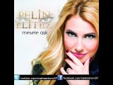 Pelin Elitez Feat. Ufuk Yıldırım - Adına Aşk Deniyor (2015)