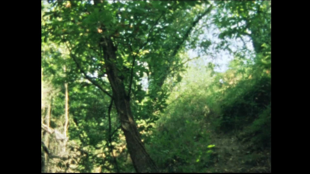 Monts et Vermeil