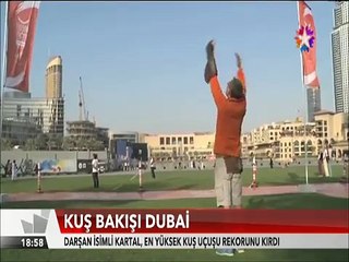 Kuş Bakışı Dubai Darşan isimli Kartal en yüksek uçuş rekorunu kırdı