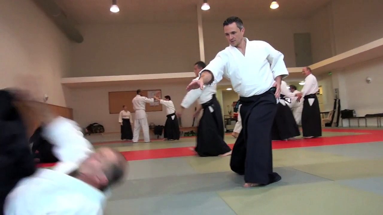 The Aikido Notebooks with Michel Erb Sensei Part 13 Taninzugake