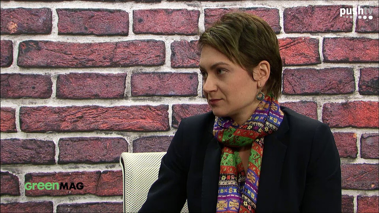 Energiewende in Ost-Europa