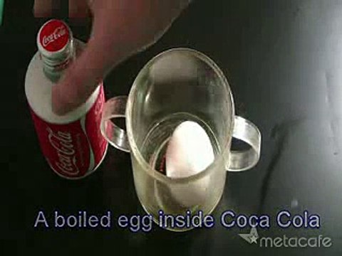 What Happens When Mixing An Boiled Egg In Coke - must watch