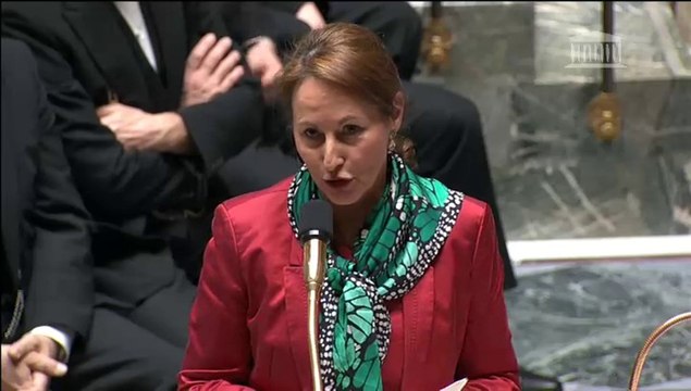 Loi biodiv : S. Royal répond à une QAG de L. Abeille