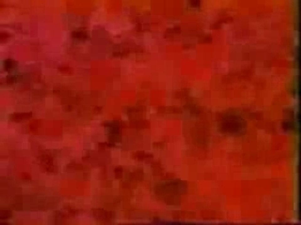 He-man abertura português