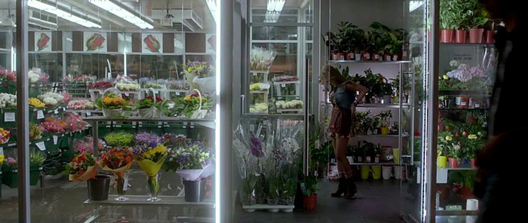 03/16/2015 01:40:59 В хорошем качестве HD 720 Гороскоп на удачу лицензия онлайн